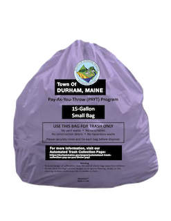 purple bag image